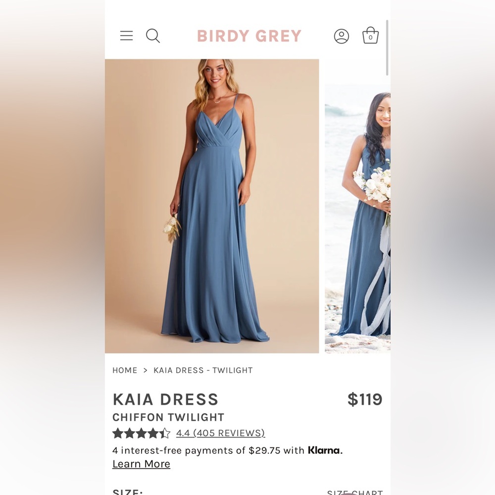 Birdy grey twilight Kaia dress